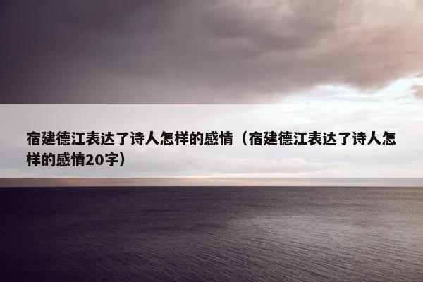 宿建德江表达了诗人怎样的感情（宿建德江表达了诗人怎样的感情20字）