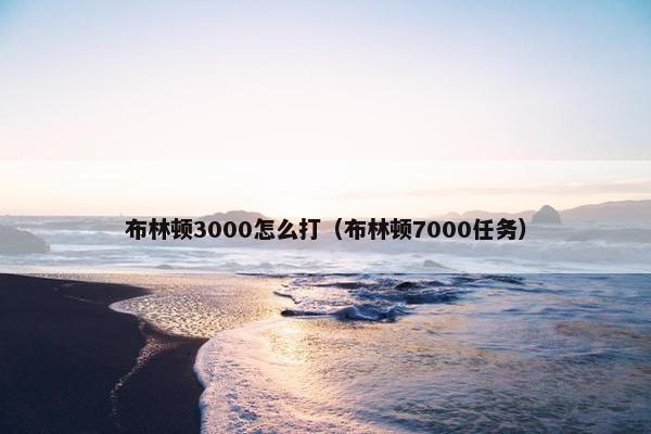 布林顿3000怎么打（布林顿7000任务）