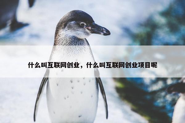 什么叫互联网创业，什么叫互联网创业项目呢