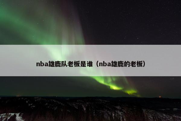 nba雄鹿队老板是谁（nba雄鹿的老板）