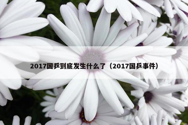 2017国乒到底发生什么了（2017国乒事件）