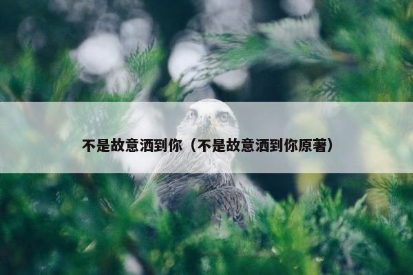 不是故意洒到你（不是故意洒到你原著）