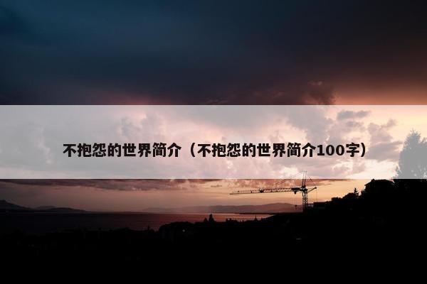 不抱怨的世界简介（不抱怨的世界简介100字）