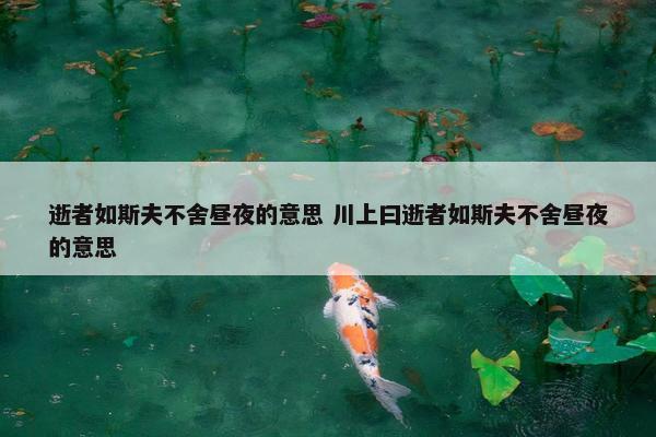 逝者如斯夫不舍昼夜的意思 川上曰逝者如斯夫不舍昼夜的意思