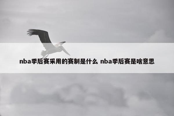 nba季后赛采用的赛制是什么 nba季后赛是啥意思