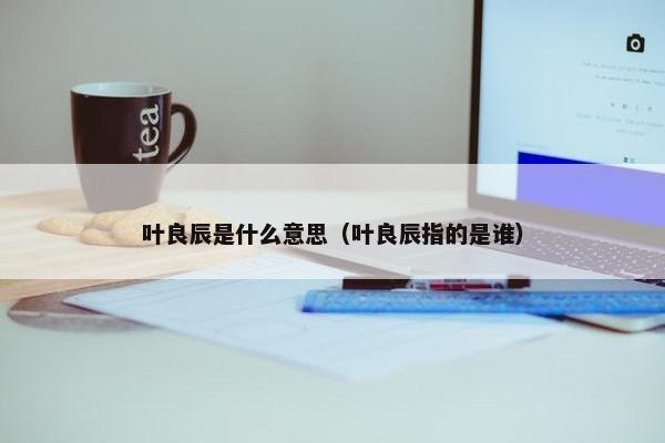 叶良辰是什么意思（叶良辰指的是谁）