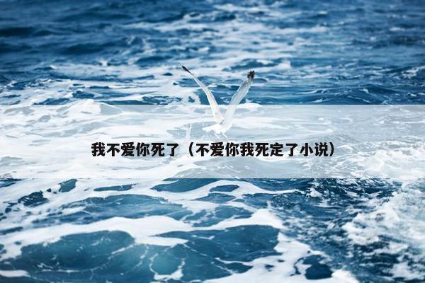 我不爱你死了（不爱你我死定了小说）