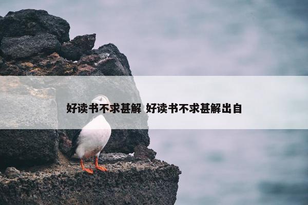 好读书不求甚解 好读书不求甚解出自