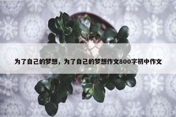 为了自己的梦想，为了自己的梦想作文800字初中作文