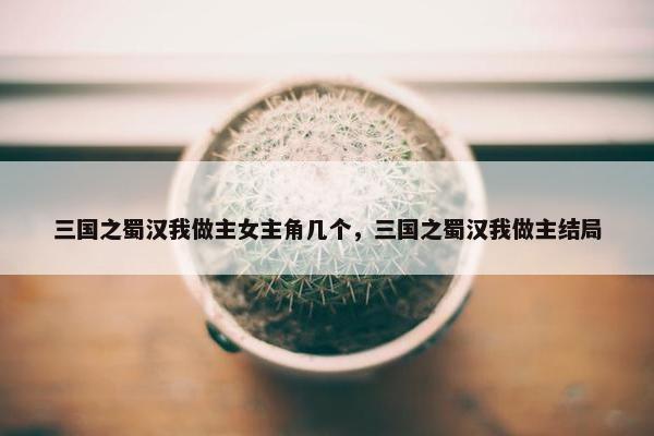 三国之蜀汉我做主女主角几个，三国之蜀汉我做主结局