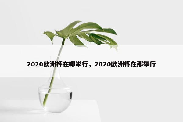 2020欧洲杯在哪举行，2020欧洲杯在那举行