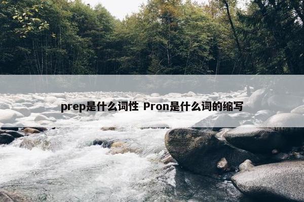 prep是什么词性 Pron是什么词的缩写