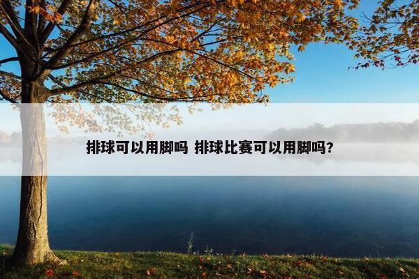 排球可以用脚吗 排球比赛可以用脚吗?