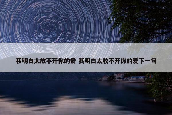 我明白太放不开你的爱 我明白太放不开你的爱下一句