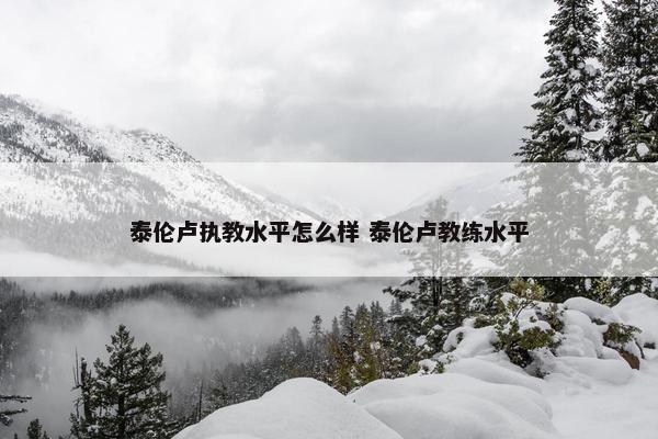 泰伦卢执教水平怎么样 泰伦卢教练水平