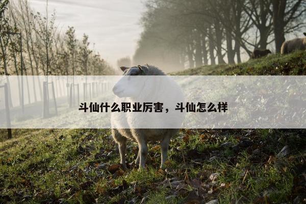 斗仙什么职业厉害，斗仙怎么样