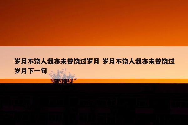 岁月不饶人我亦未曾饶过岁月 岁月不饶人我亦未曾饶过岁月下一句