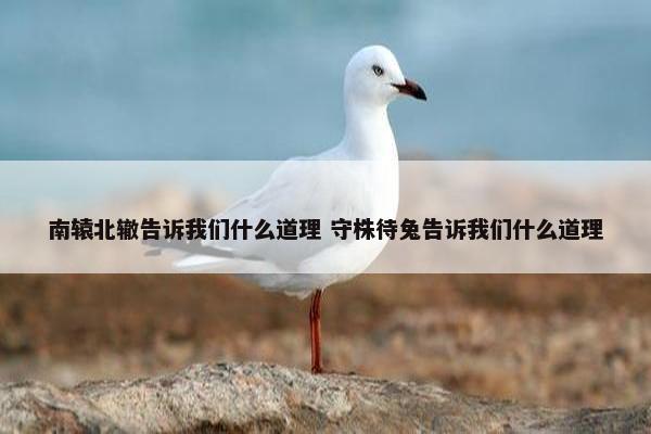 南辕北辙告诉我们什么道理 守株待兔告诉我们什么道理