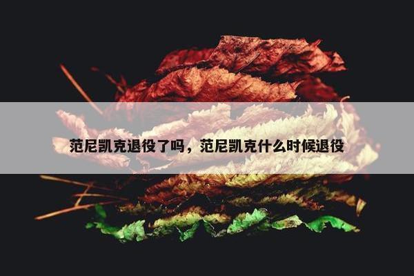 范尼凯克退役了吗，范尼凯克什么时候退役