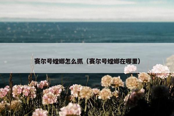 赛尔号螳螂怎么抓（赛尔号螳螂在哪里）