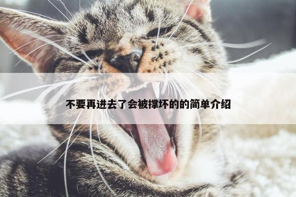 不要再进去了会被撑坏的的简单介绍