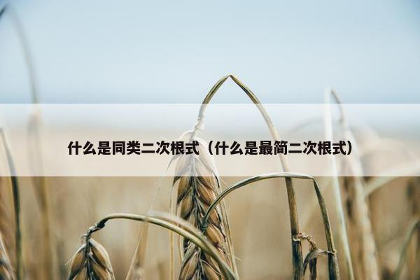 什么是同类二次根式（什么是最简二次根式）