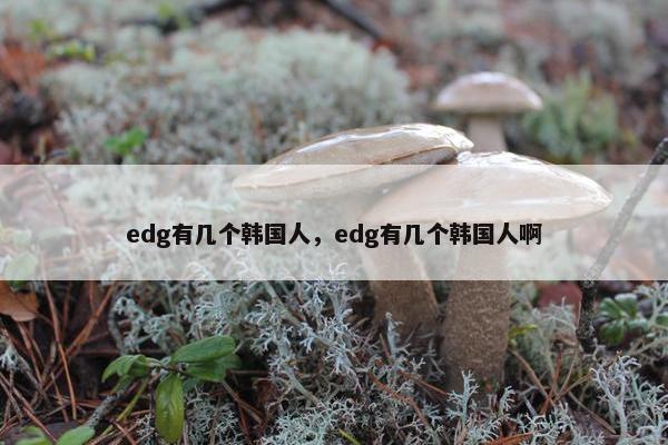 edg有几个韩国人，edg有几个韩国人啊