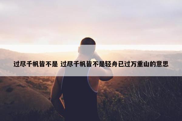 过尽千帆皆不是 过尽千帆皆不是轻舟已过万重山的意思