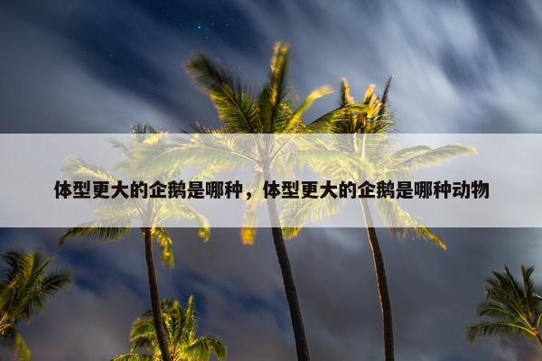 体型更大的企鹅是哪种，体型更大的企鹅是哪种动物