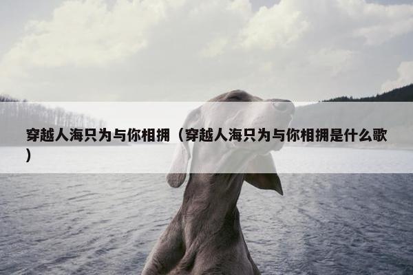 穿越人海只为与你相拥（穿越人海只为与你相拥是什么歌）