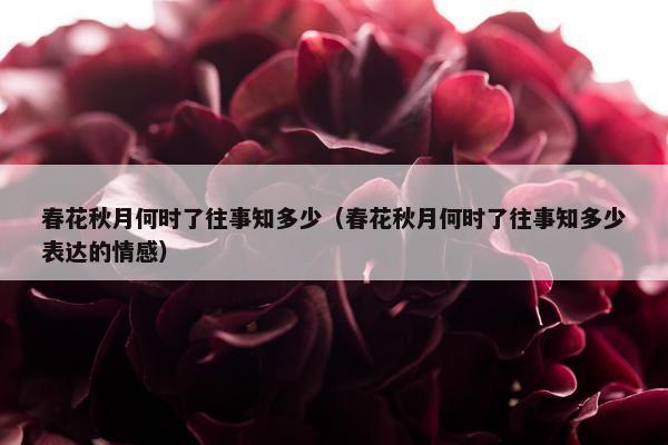 春花秋月何时了往事知多少（春花秋月何时了往事知多少表达的情感）