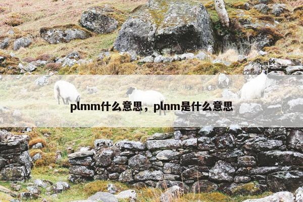 plmm什么意思，plnm是什么意思