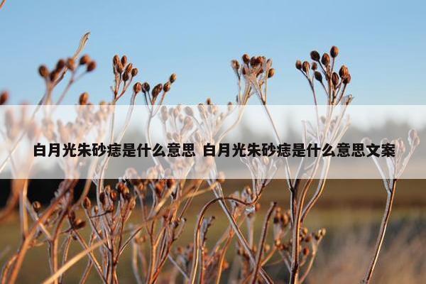 白月光朱砂痣是什么意思 白月光朱砂痣是什么意思文案