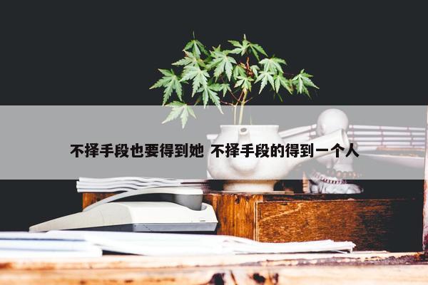 不择手段也要得到她 不择手段的得到一个人