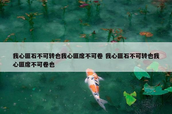 我心匪石不可转也我心匪席不可卷 我心匪石不可转也我心匪席不可卷也