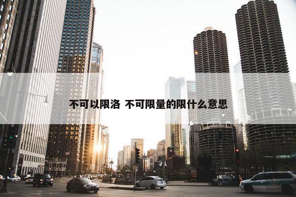 不可以限洛 不可限量的限什么意思