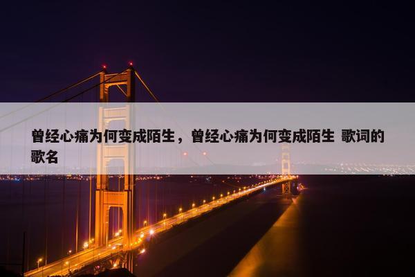 曾经心痛为何变成陌生，曾经心痛为何变成陌生 歌词的歌名