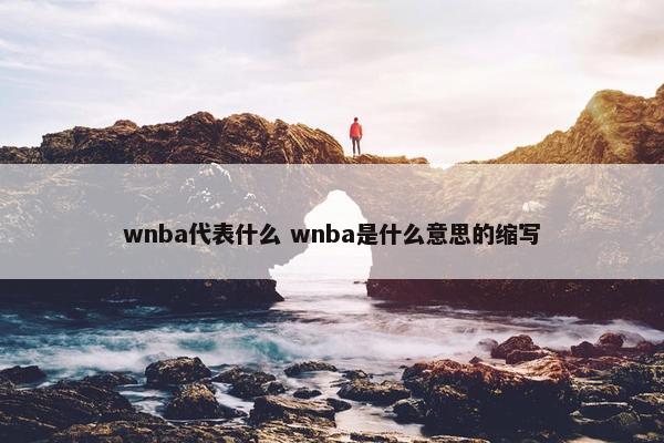 wnba代表什么 wnba是什么意思的缩写