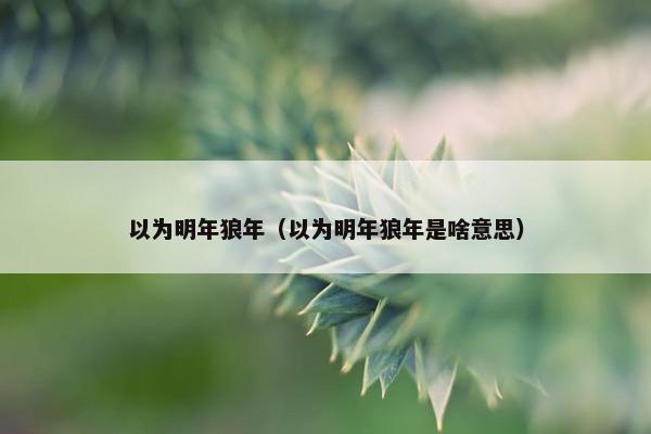 以为明年狼年（以为明年狼年是啥意思）