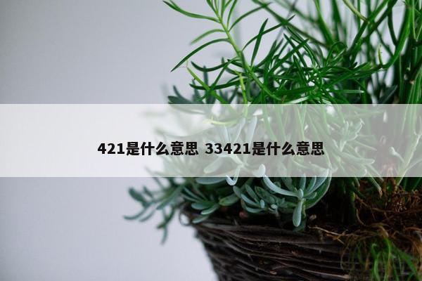 421是什么意思 33421是什么意思