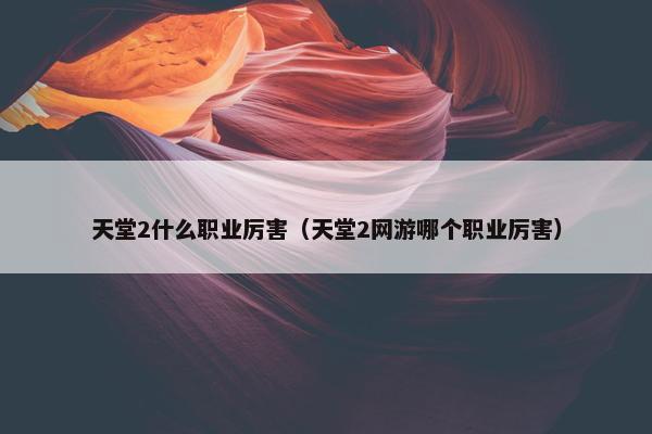 天堂2什么职业厉害（天堂2网游哪个职业厉害）