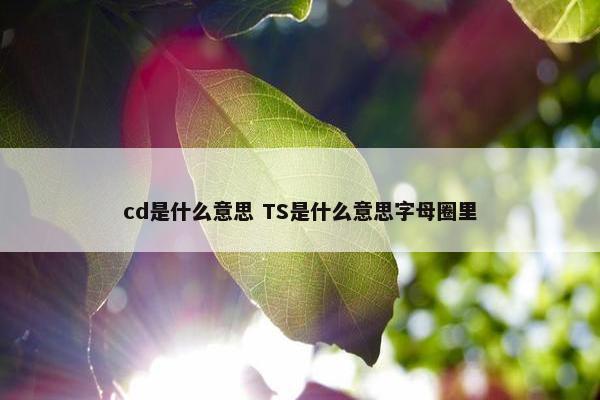 cd是什么意思 TS是什么意思字母圈里