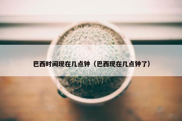 巴西时间现在几点钟（巴西现在几点钟了）