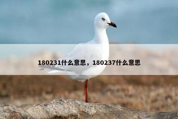 180231什么意思，180237什么意思