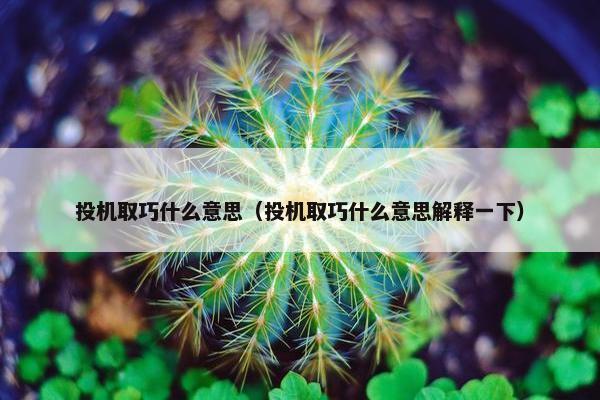 投机取巧什么意思（投机取巧什么意思解释一下）