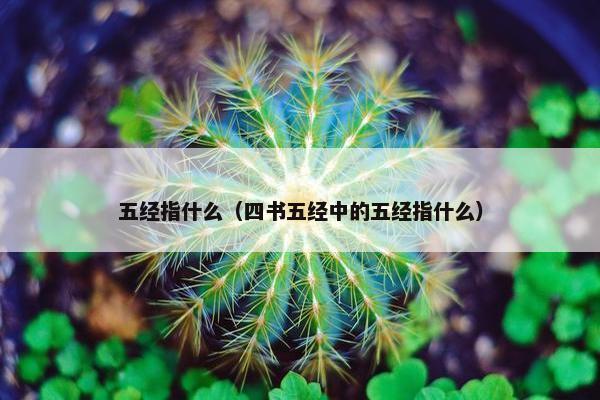 五经指什么（四书五经中的五经指什么）