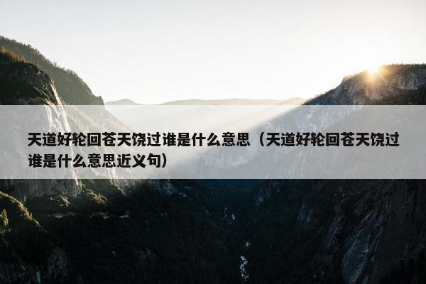 天道好轮回苍天饶过谁是什么意思（天道好轮回苍天饶过谁是什么意思近义句）