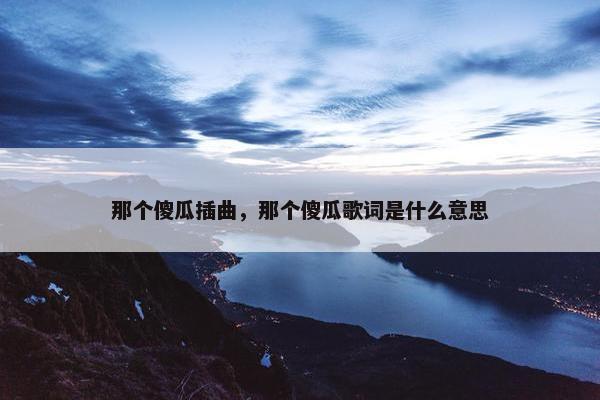 那个傻瓜插曲，那个傻瓜歌词是什么意思