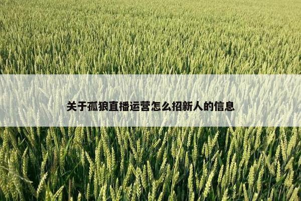 关于孤狼直播运营怎么招新人的信息