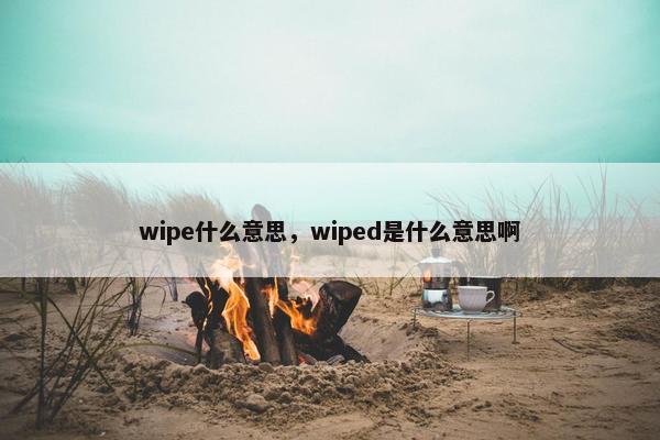 wipe什么意思，wiped是什么意思啊